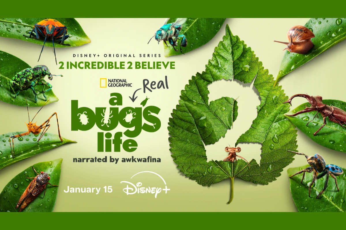 Fan Theories & Community Demand for A Bugs Life 2 Drives Sequel